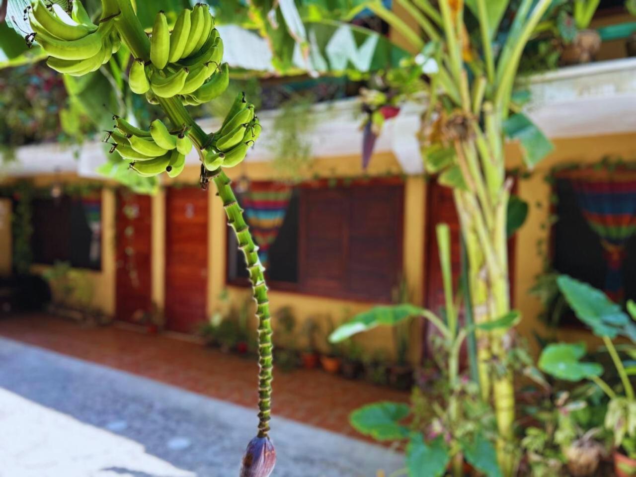 Hotel Casa Del Mar Mazunte Santa Maria Tonameca Luaran gambar